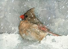 a watercolor painting of a bird sitting in the snow with red beaks on it's head