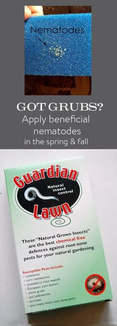 an advertisement for some kind of soap that is blue and green with the words got grubs? apply beneficial nematodees in the spring & fall