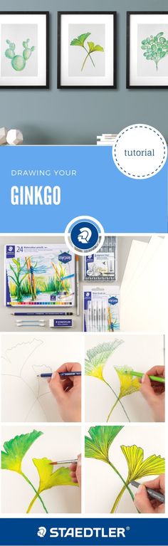 the instructions for how to draw ginkgo leaves in watercolor and ink on paper