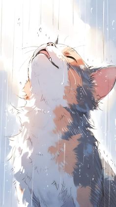 a cat sitting in the rain with its eyes closed and it's head up