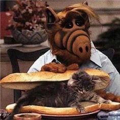 a cat sitting on top of a plate next to a pig head and bread sandwich