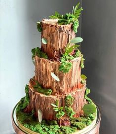 a three tiered cake made out of wood and moss covered with leaves on top