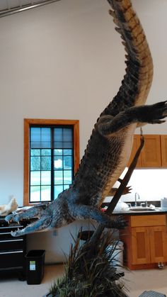 an alligator statue is in the middle of a kitchen