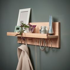 a wooden shelf with hooks and rings on it, holding items such as a potted plant