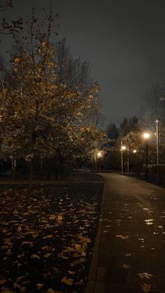 an empty path in the middle of a park at night with street lights and leaves on the ground