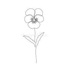 a single flower line drawing on a white background royalty free stock images for your project