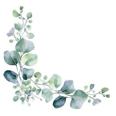 watercolor painting of green leaves and branches on a white background with space for text