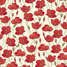 an image of red flowers on white background