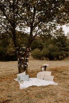 a blanket and pillows on the ground under a tree in an open field with trees