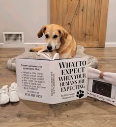 a dog laying on the floor reading a book about what to expect when your humans are expecting