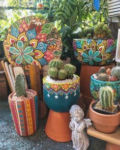 several potted plants with designs on them