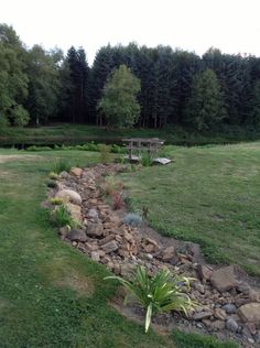 there is a rock garden in the yard