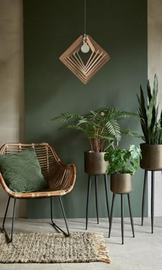 a collage of photos with plants and furniture in them, including a chair, table, planter, potted houseplant and other items