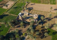 an aerial view of a farm house surrounded by palm trees and other crops in the background