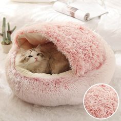 a cat is sitting in a fluffy pink bed on the floor next to a cactus