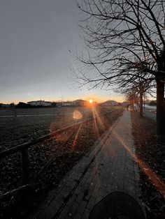 the sun shines brightly through the branches of trees along a brick path in an open field