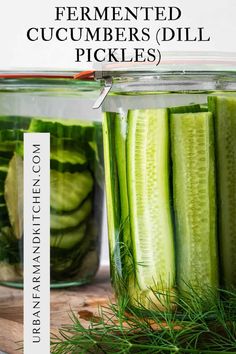 pickled cucumbers and dill pickles in jars with text overlay