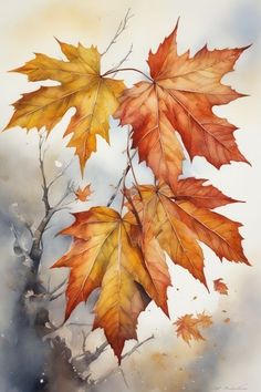 watercolor painting of two maple leaves in autumn, one orange and the other yellow