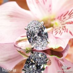 two diamond rings sitting on top of a pink flower