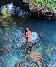 a woman standing in the water surrounded by turtles