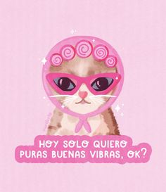 a cat wearing pink sunglasses with the caption hey solo quiero puras buenas, ok?