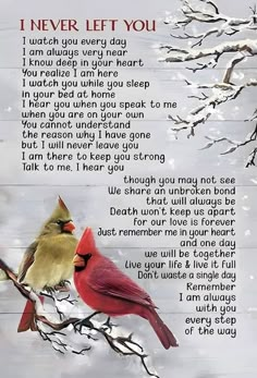 two birds sitting on top of a tree branch next to a poem written in the snow