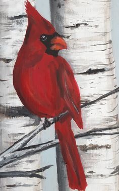 a painting of a red cardinal perched on a tree branch in front of birch trees