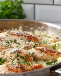 a pan filled with chicken and rice covered in parmesan