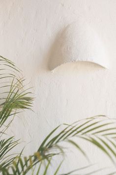 a potted plant sitting next to a white wall with a light on it's side