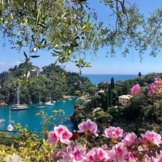 boats are in the water near some trees and flowers