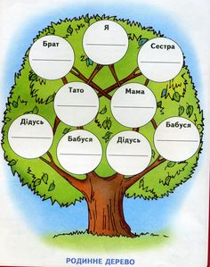 a family tree with four branches labeled in different languages and numbers on the bottom half