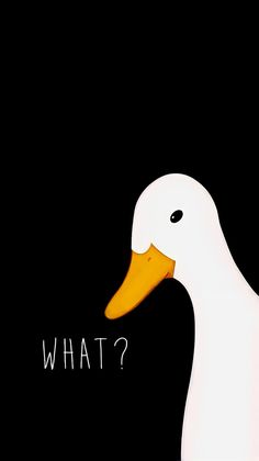 What's Up Wallpaper, What Wallpaper, What The Duck, Simple Wallpaper, Cute Emoji Wallpaper, Iphone Homescreen Wallpaper, Cute Simple Wallpapers, Cool Wallpapers Cartoon