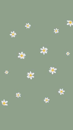 Mint Green Wallpaper, Simplistic Wallpaper, Sage Green Wallpaper, New Wallpaper Iphone, Desain Quilling, Daisy Wallpaper, Ipad Background, Simple Phone Wallpapers, Simple Iphone Wallpaper