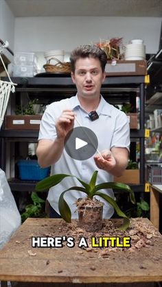 a man holding a plant in front of him and the caption here's a little