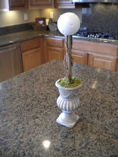 a vase filled with flowers sitting on top of a kitchen counter