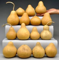 several pears are stacked on top of each other in front of a person's hand