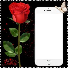 a red rose with a butterfly on it next to an iphone screen and black background