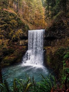 a large waterfall in the middle of a forest