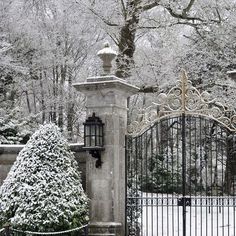 an iron gate in the middle of a snowy park with trees and bushes on either side