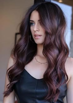 Hair Color On Brown Hair, Color On Brown Hair, Raspberry Hair Color, Raspberry Hair, Brown Hair Color Shades, Hair Color Shades