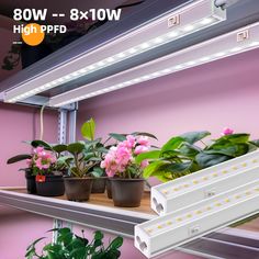 led grow lights on shelves with potted plants