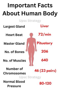 an info poster showing the different types of human body