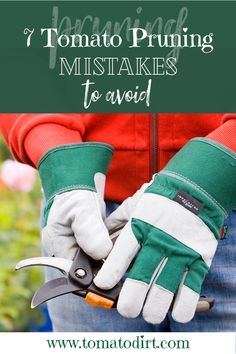 a person wearing gardening gloves and holding a pair of garden shears with text overlay that reads, tomato pruning musttakes to avoid