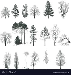 various types of trees in the snow