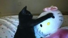 a black cat sitting on top of a bed next to a hello kitty stuffed animal