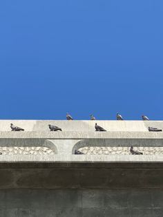 there are many birds sitting on top of the building