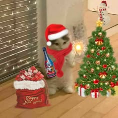 Cat pfp
Christmas cat pfp
New year cat pfp
Meme cat
Winter cat
Winter cat pfp Christmas Gc Pfp, Cat Christmas Meme, Christmas Group Pfp, Christmas Pfp Cartoon, Funny Christmas Pics, Funny Profile Pics, Christmas Cat Memes