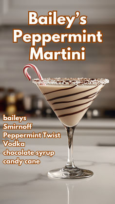 Bailey's Peppermint Twist Recipe Peppermint Vodka Martinis, Holiday Cocktails With Baileys, Peppermint Bark Rumchata Drinks, Best Baileys Drinks, Holiday Drinks Baileys, Chocolate Peppermint Cocktail, Chocolate Peppermint Martini Recipe, Peppermint Snapps Cocktails, Holiday Baileys Drink