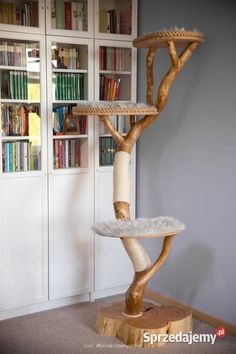 a cat scratching tree in the corner of a room with bookshelves behind it