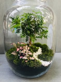 a bonsai tree in a glass vase filled with moss and other plants on a table